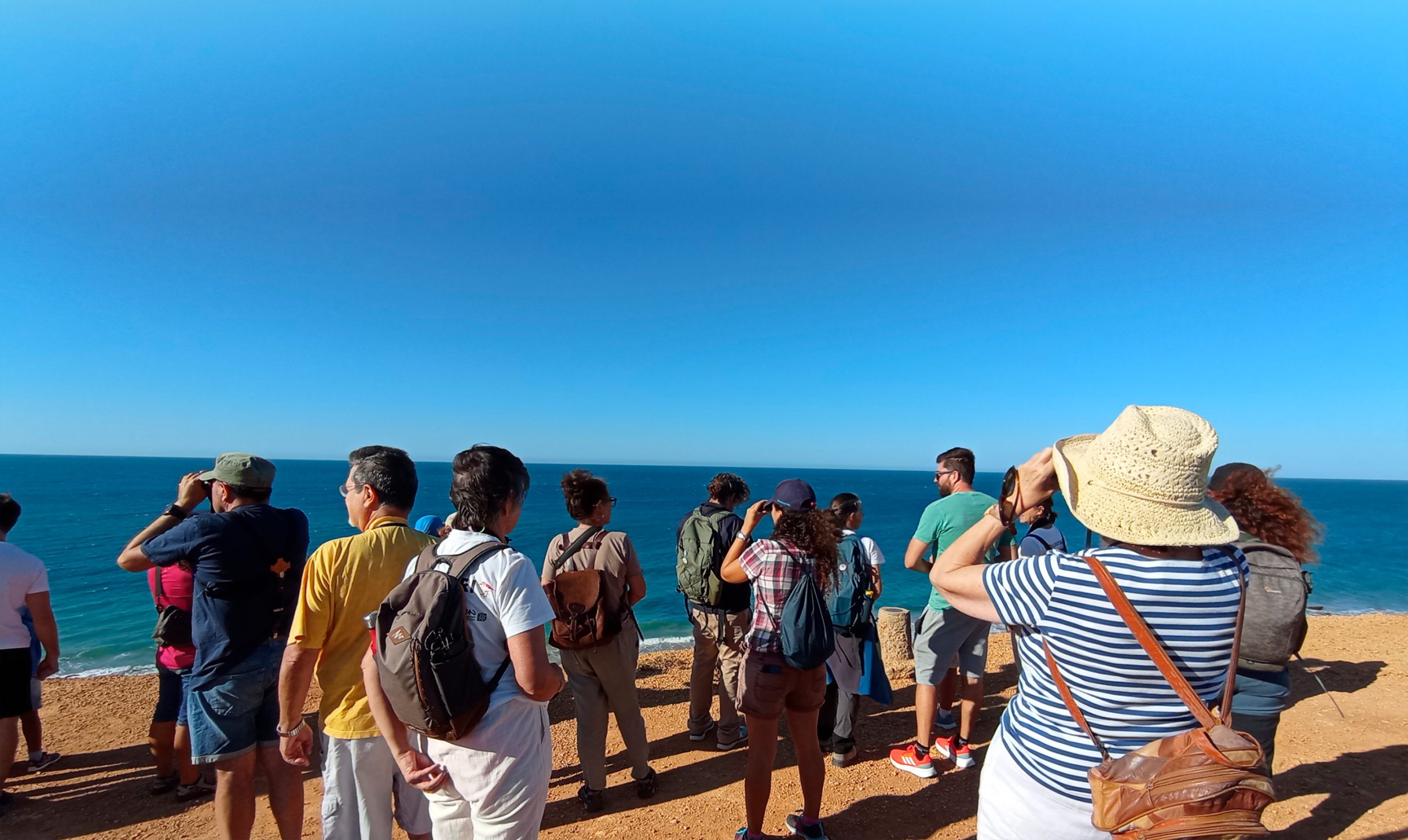 portada_home_surgencia